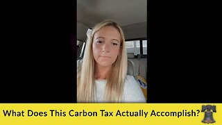 What Does This Carbon Tax Actually Accomplish?
