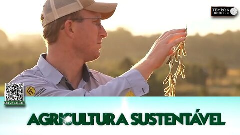 Centro de Pesquisa da FT Sementes no Paraná testa cultivares de soja com maior produtividade
