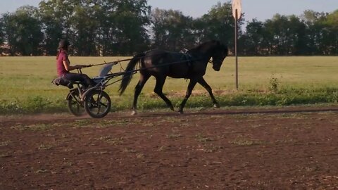 Carriage ride in the countryside