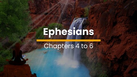 Ephesians 4, 5, & 6 - November 28 (Day 332)