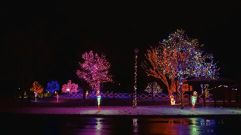 Amazing dancing Christmas lights!