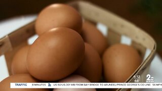 Egg prices rise as shoppers stock up for Passover and Easter