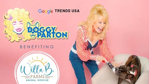 Dolly Parton's New Pet Apparel Collection