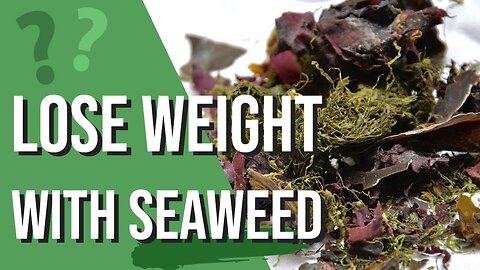 How to lose weight FAST with Seaweed