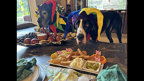 Funny Great Danes Enjoy British Fish & Chips Royal Celebration