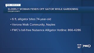 Woman fights off alligator