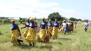 SOUTH AFRICA - Durban - Umthayi Marula Festival video's batch 1 (qcC)