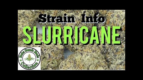 Slurricane Buy Low Green Review