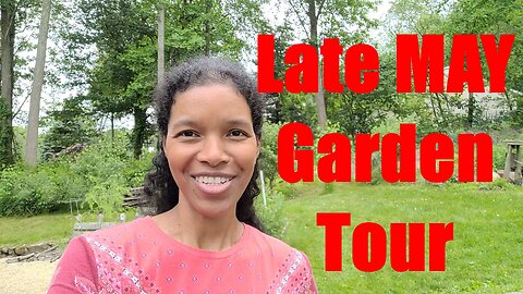 May 2024: Garden Tour Again But MORE #sowwellharvestmore #gardentour