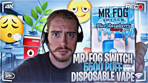 Mr Fog Switch Disposable Vape by Mr Fog® | 5500 Puffs