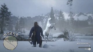 Where you can find the ARABIAN WHITE COAT, RDR2