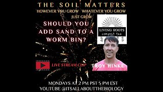 Should You Add Sand To A Worm Bin?