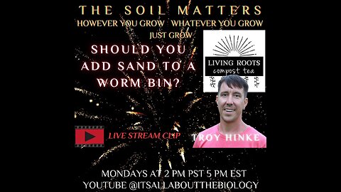 Should You Add Sand To A Worm Bin?