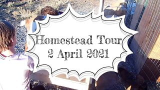 Homestead Tour 2 April 2021