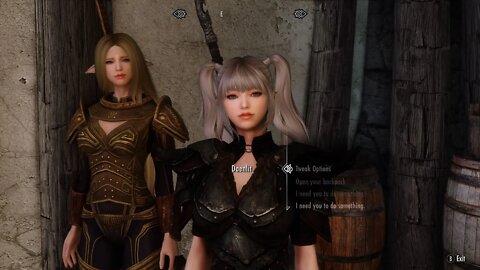 Skyrim SE Mods PC - Wyrmstooth Dames (VNPCs)