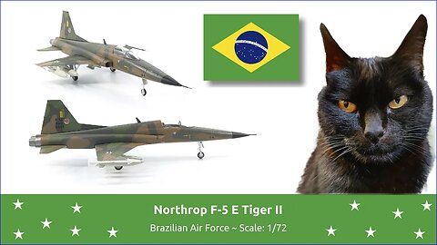 Northrop F-5 E Tiger II - Brazilian Air Force
