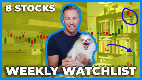 Top Stocks To Buy Or Watch Based On Technical Analysis | Weekly Scan EP 024