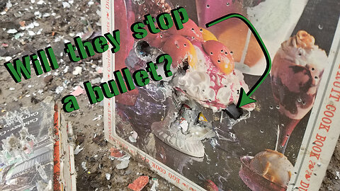 How many cookbooks does it take to stop a bullet?
