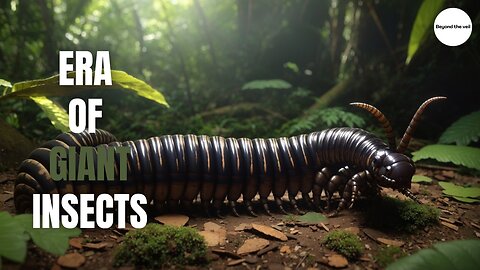 Age of Giant Insects