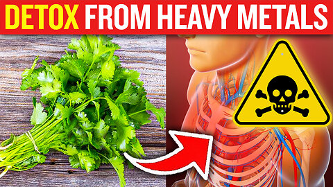 The Best Strategy for Detoxifying Heavy Metals (SAFELY)