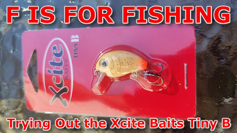 Trying Out the Xcite Baits Tiny B