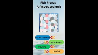 Fish Frenzy A fast paced quiz 35 #shorts