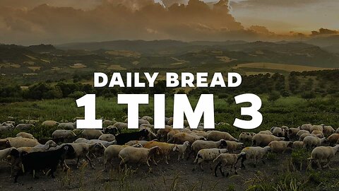 Daily Bread: 1 Timothy 3