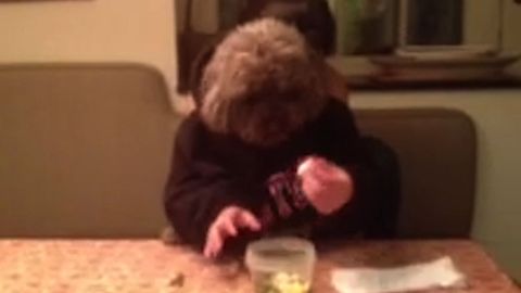 Dog With Human Hands Eats Veggies