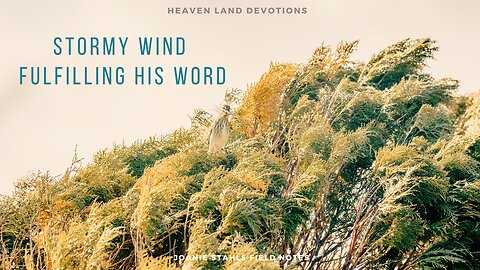 Heaven Land Devotions - Stormy Wind Fulfilling His Word
