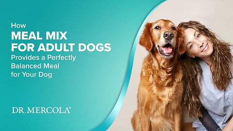 How MEAL MIX FOR ADULT DOGS Provides a Perfectly Balanced Meal for Your Dog