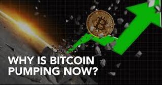 Bitcoin is pumping for this reason!!! [MUST WATCH NOW!] 2022