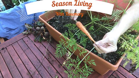 Last of the deck garden harvest