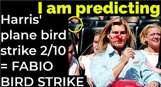 I am predicting: Harris' plane bird strike on Feb 10 = FABIO BIRD STRIKE PROPHECY