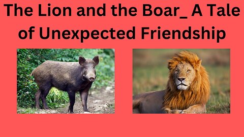 The Lion and the Boar_ A Tale of Unexpected Friendship