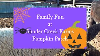 Family Fun at Sunder Creek Farms Pumpkin Patch