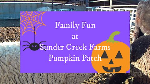 Family Fun at Sunder Creek Farms Pumpkin Patch