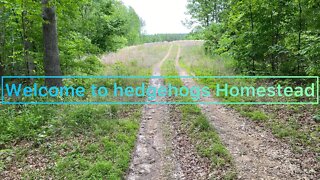 Homesteading in the north west and the south