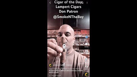 Cigar of the Day: Lampert Cigars Don Patron #Cigars #Cigar #Short #ShortsVideo #SNTB #ShortsFeed