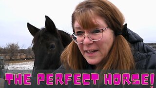 We Found The Perfect Horse For Gabby!