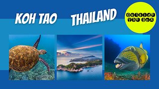 KOH TAO THAILAND TEASER 2023