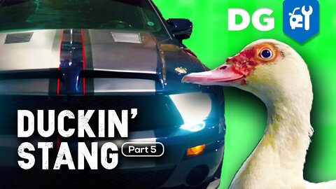 Add DIY Vinyl Racing Stripes to Your Car Like A PRO! #BuckinStang [EP5]
