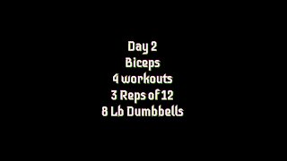 My Fitness Journey, Day 2 - Biceps