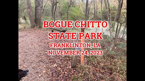 Bogue Chitto State Park- Gorge Run Trail