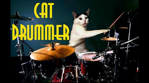 Short Video. Funny Cute Cats. Cat Drummer.