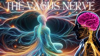 The Vagus Nerve and The Wanderer.