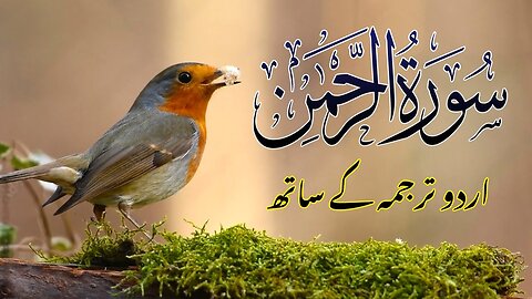 Surah Rahman Urdu Tarjuma k Sath - Surah Rahman By Qari Abdul Basit Abdul Samad (2024)