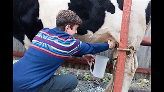 LEITE DA VACA E SEUS DERIVADOS