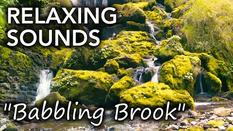 Relaxing sounds of a babbling brook/waterfall to calm and soothe you as rest, study or work