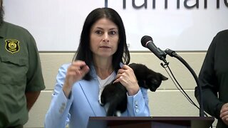 Attorney General Dana Nessel announces partnership with Michigan Humane Society to prosecute animal abuse cases