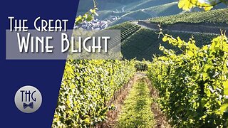 Saving Grapes: The Great Wine Blight